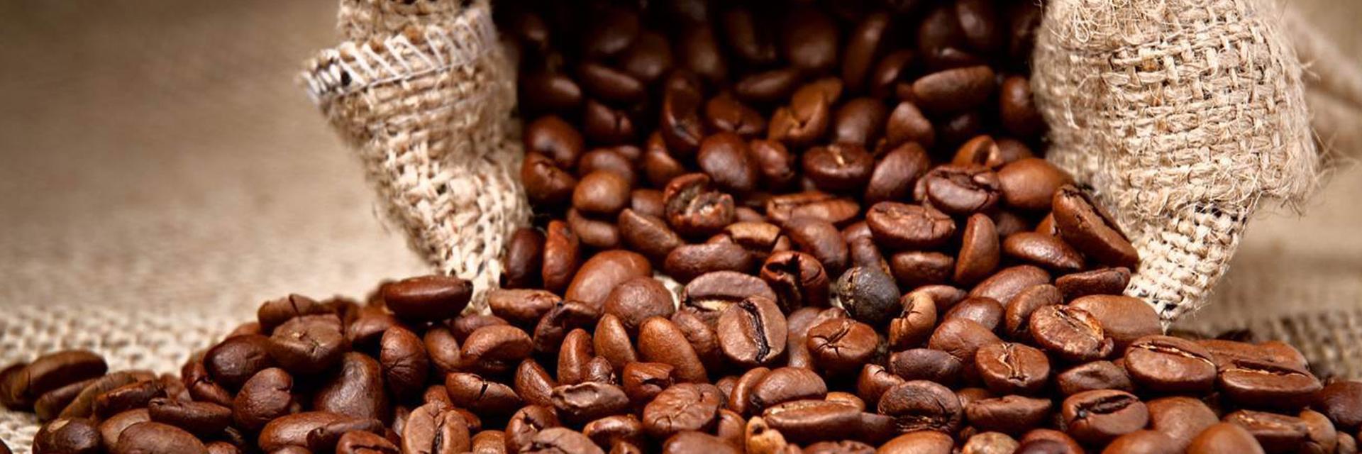 Light and Dark&#58; Two Legacies of the History of Coffee