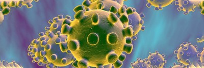 From Animal to Human: The History of Coronaviruses