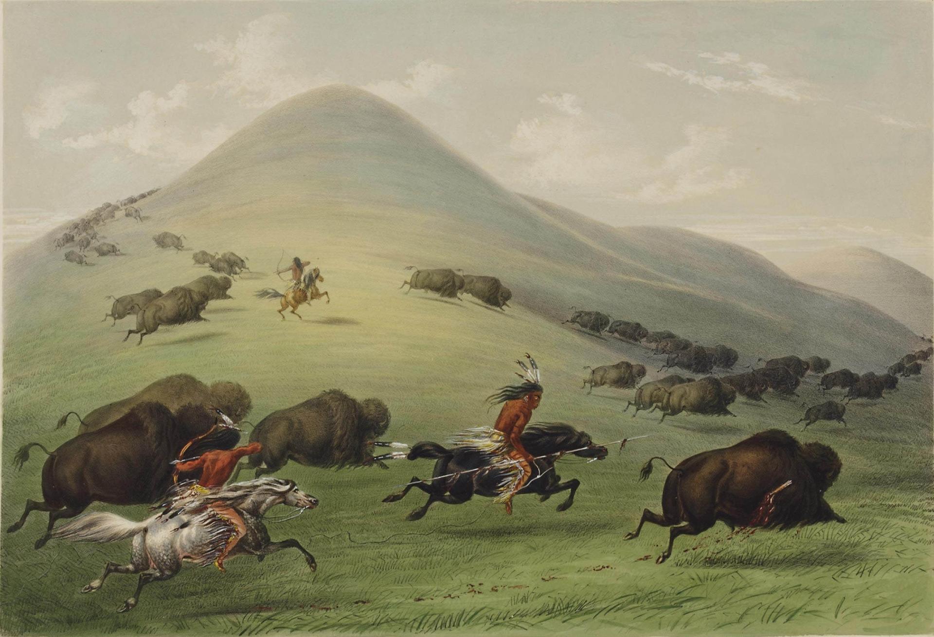 File:American Bison hunting action.jpg - Wikimedia Commons