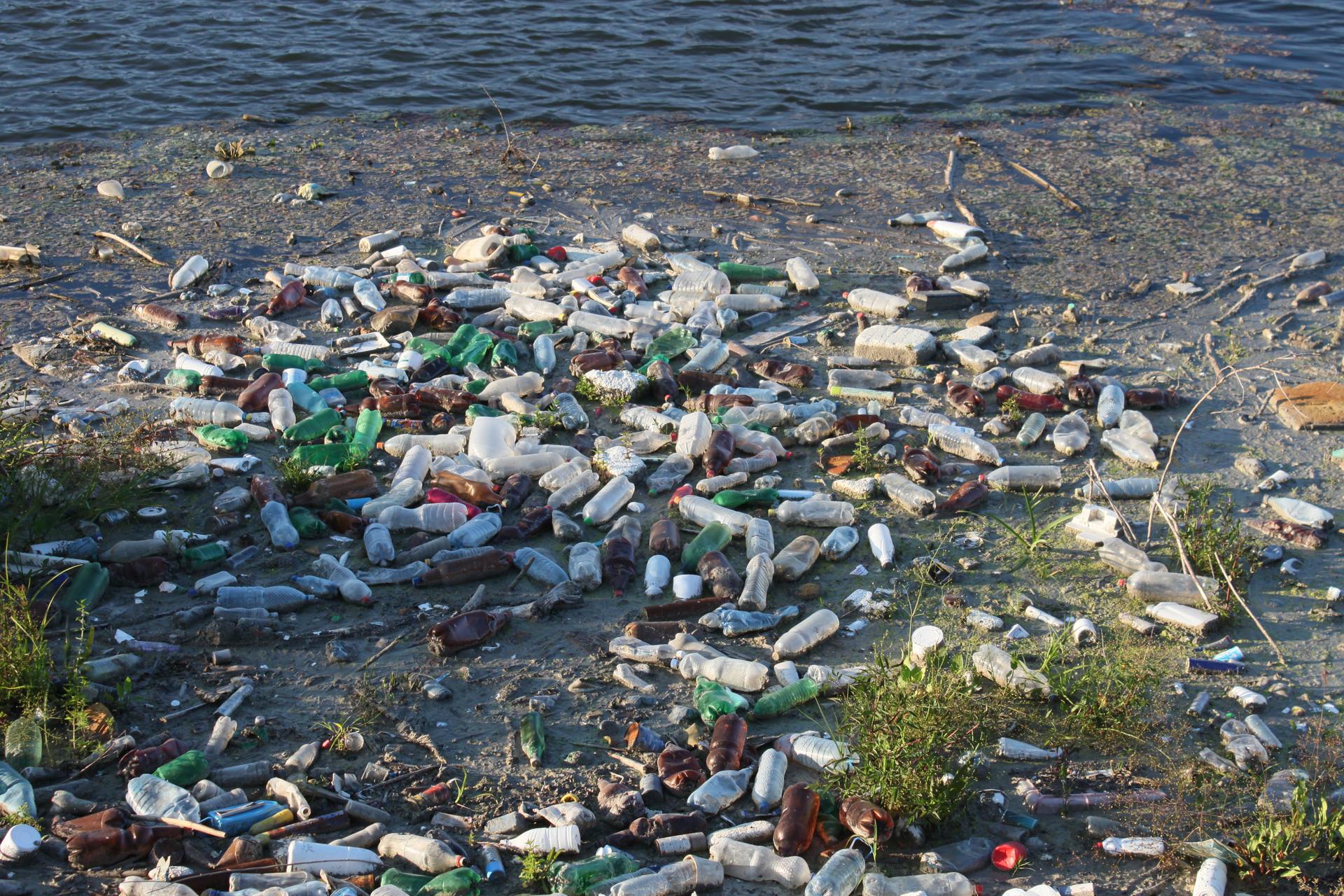 Discarded water bottle pollution