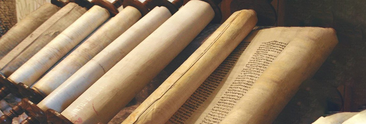 The Long Strange Story of Search: From Ancient Scrolls to Digital Books