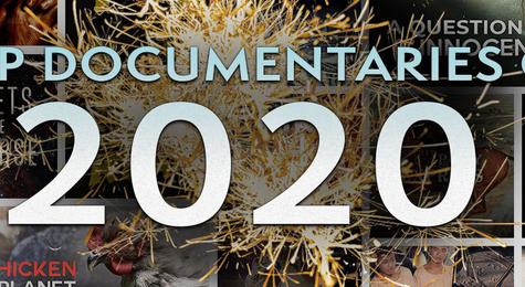 The Year in Review&#58; MagellanTV&#8217;s Top Documentaries of 2020