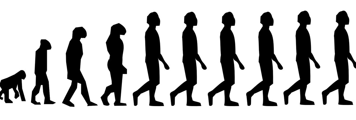 Survival of the Fittest: How Darwin’s Theory of Evolution Won the War of Ideas