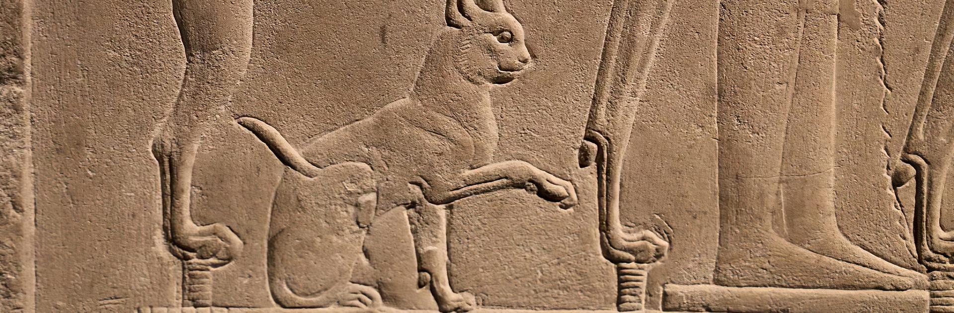 Why Did Ancient Egyptians Worship Cats? MagellanTV Articles by