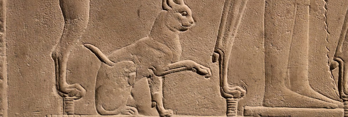 Why Did Ancient Egyptians Worship Cats?
