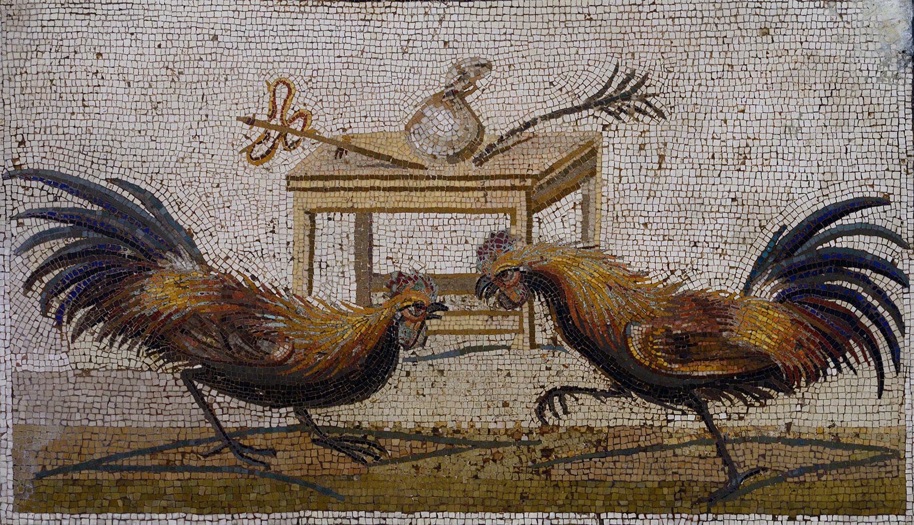 mosaic Pompeii cockfighting