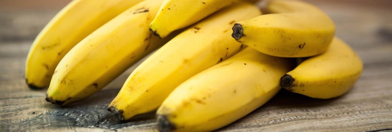 Absolutely Bananas: The Story of Entrepreneur Sam Zemurray