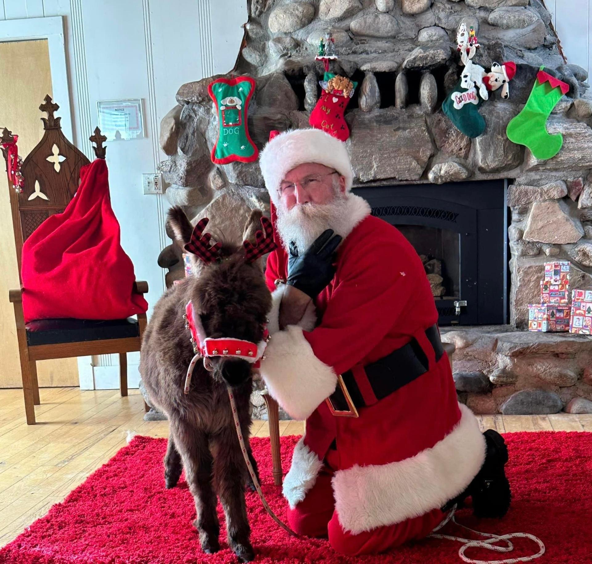 Santa Andy with miniature mule