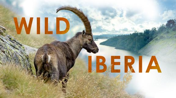 Wild Iberia