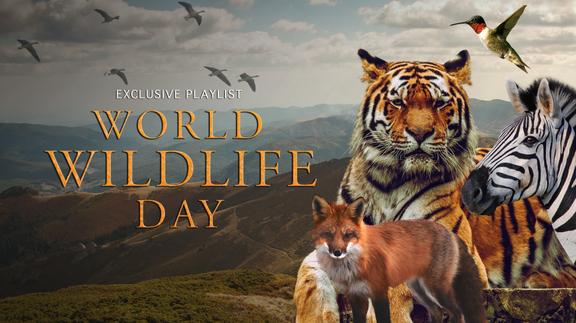 World Wildlife Day
