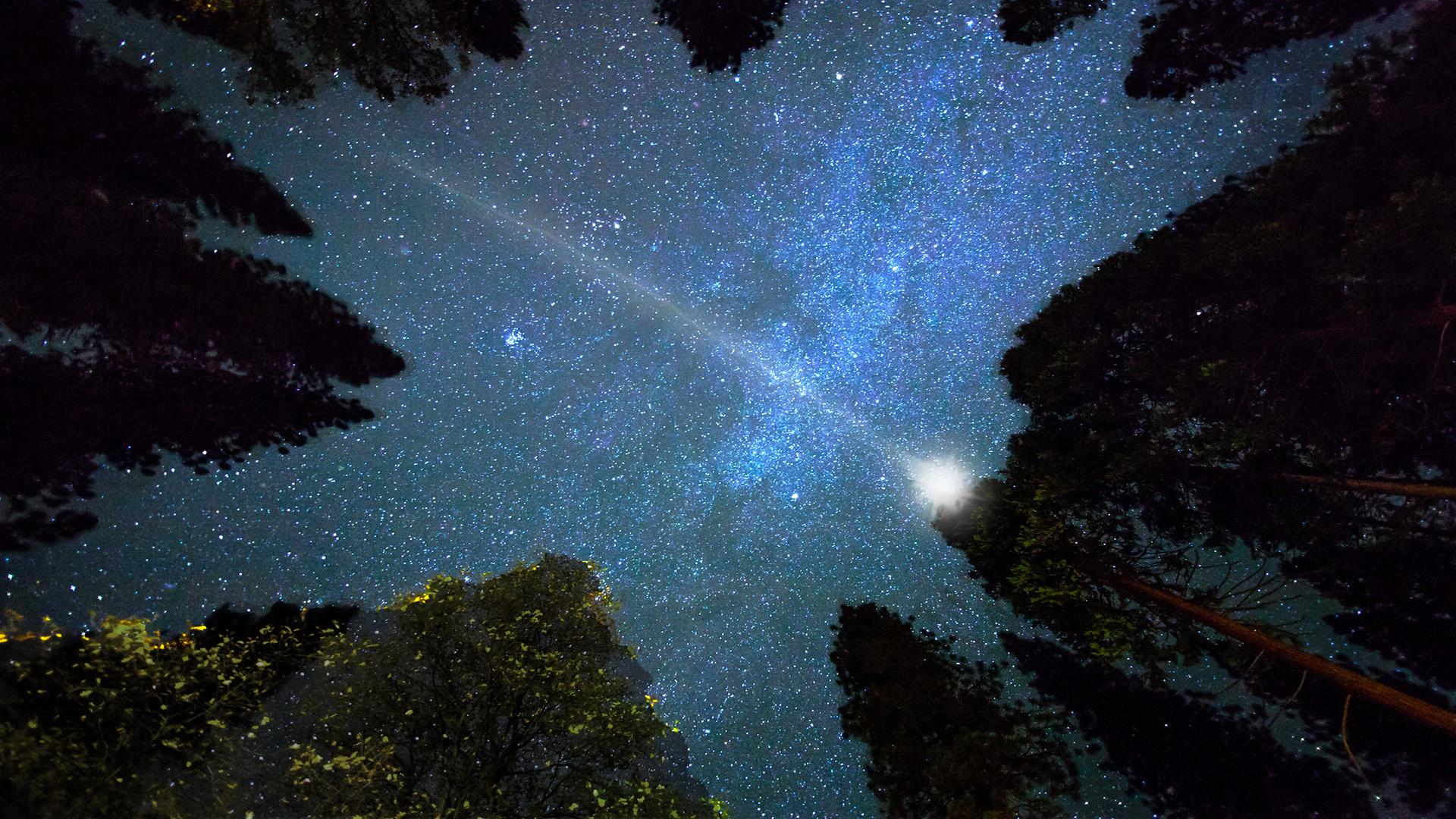 Cosmic Vistas