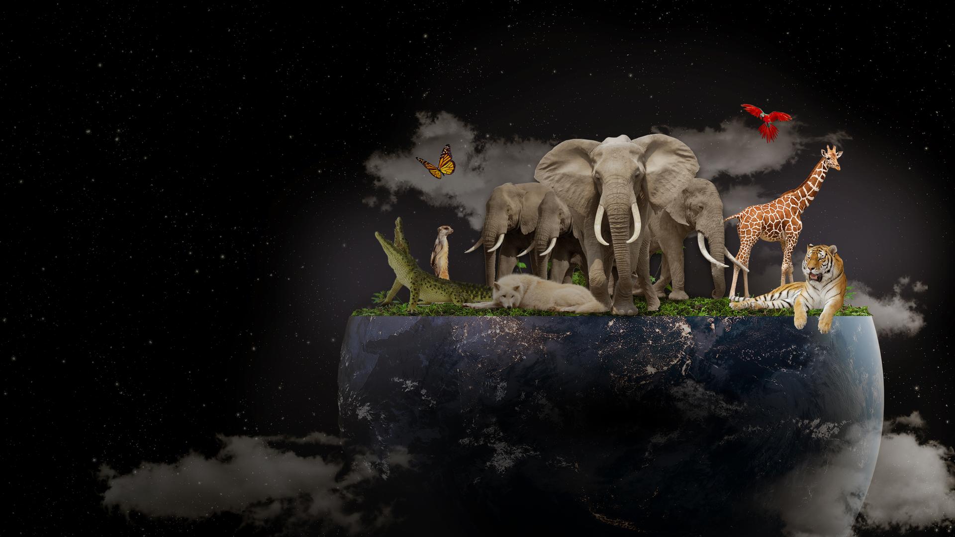 The Essential Earth Day Playlist