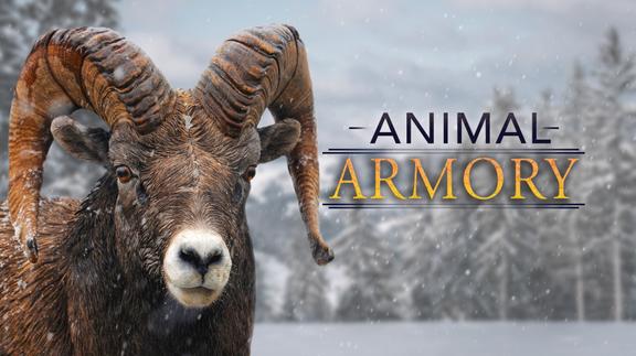 Animal Armory