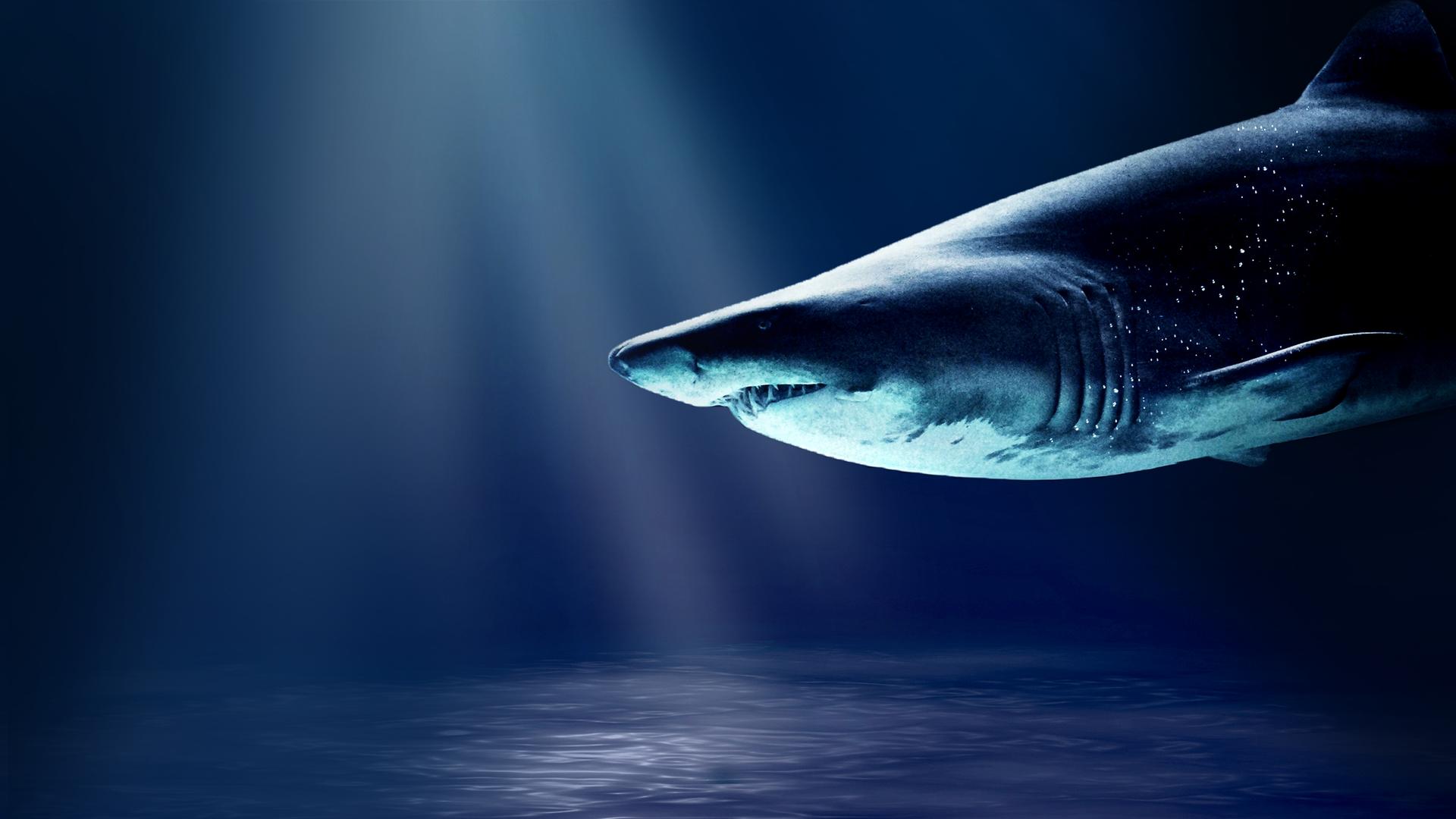 Blue Water Savages