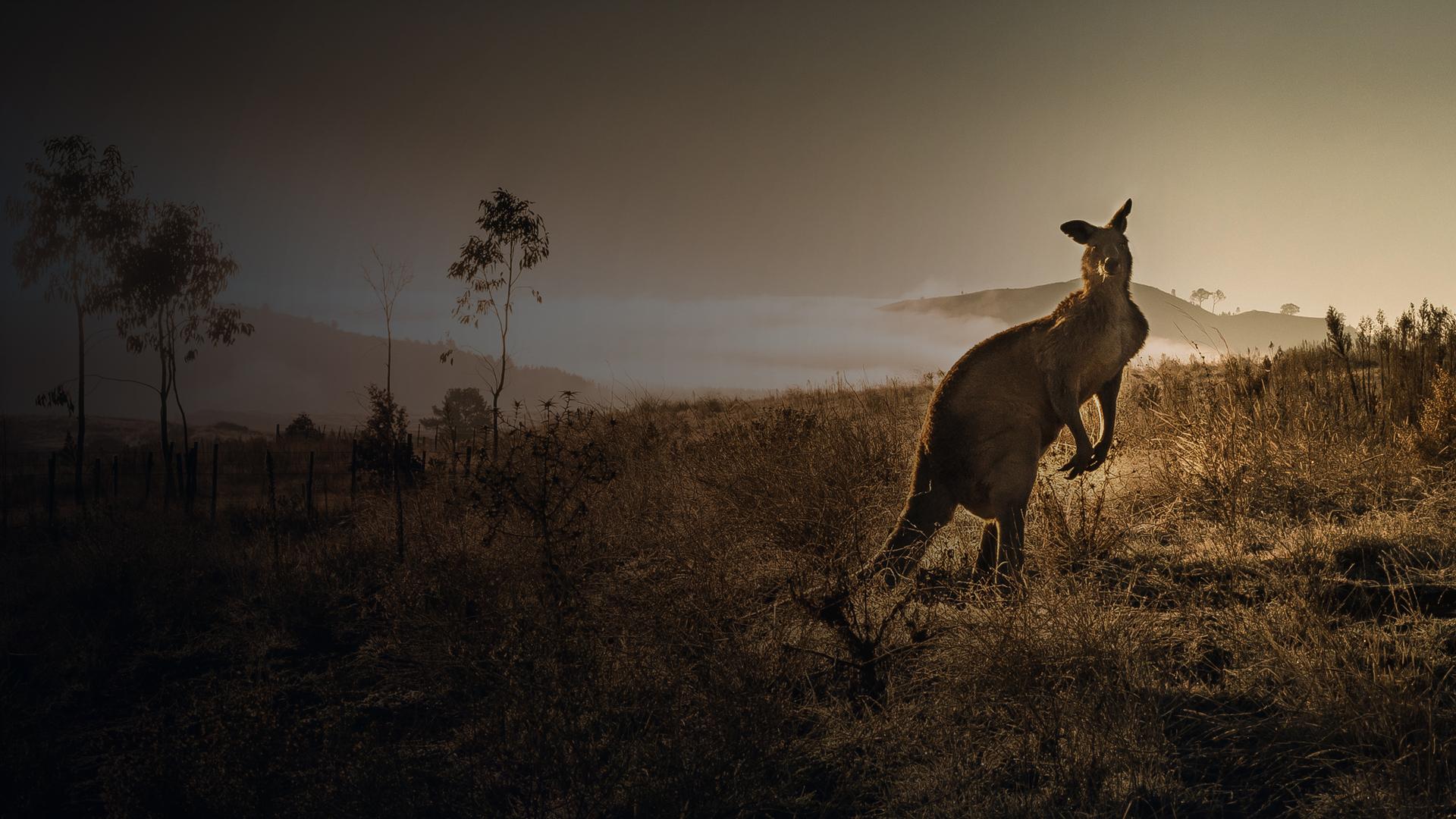 Australia's Wild Places