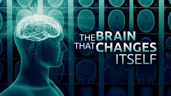 The Brain that Changes Itself