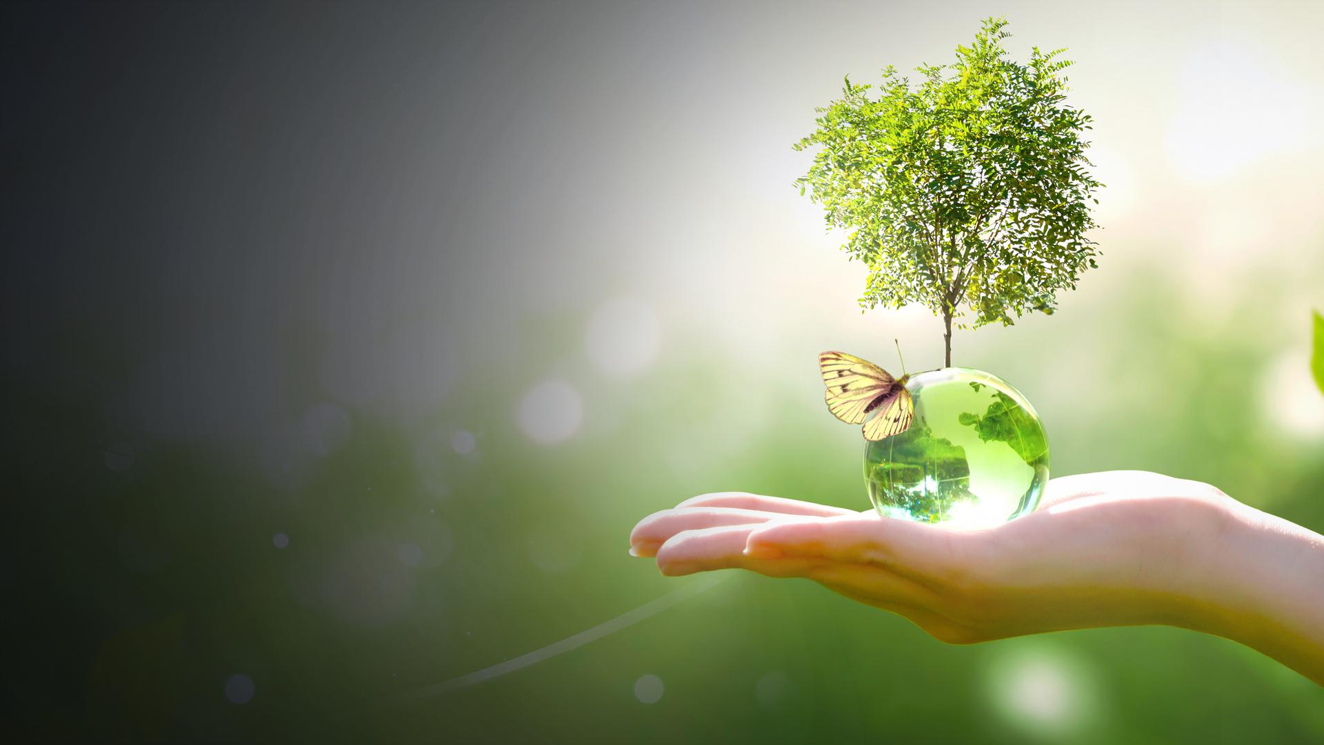 Earth Sciences Week: Promoting Conservation