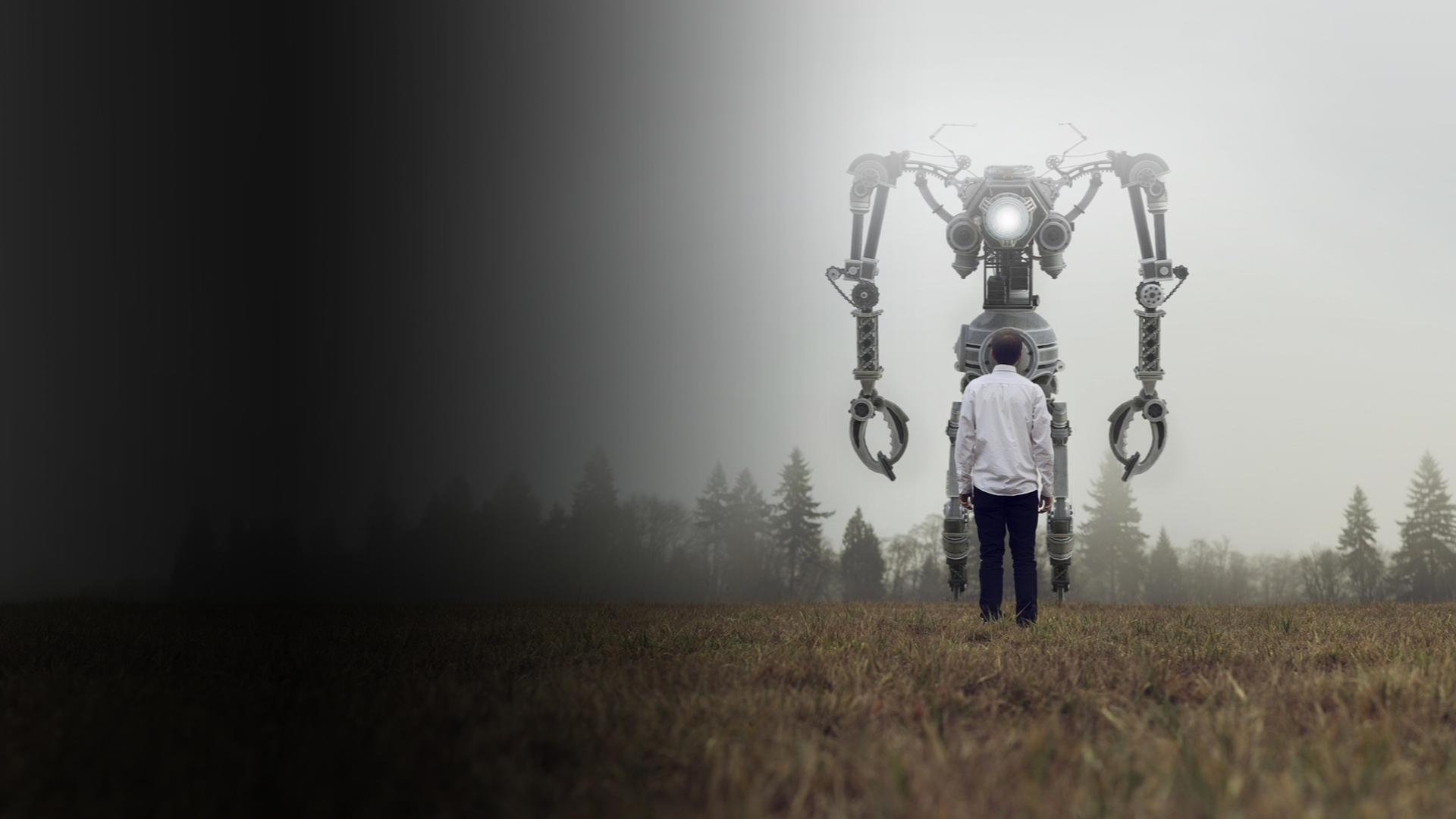 The Age of Robots