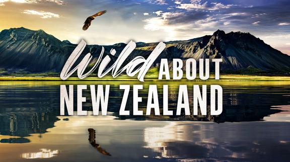 Wild About New Zealand