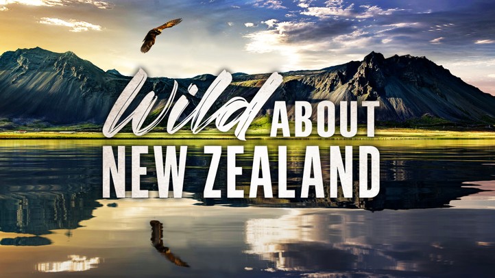 Wild About New Zealand