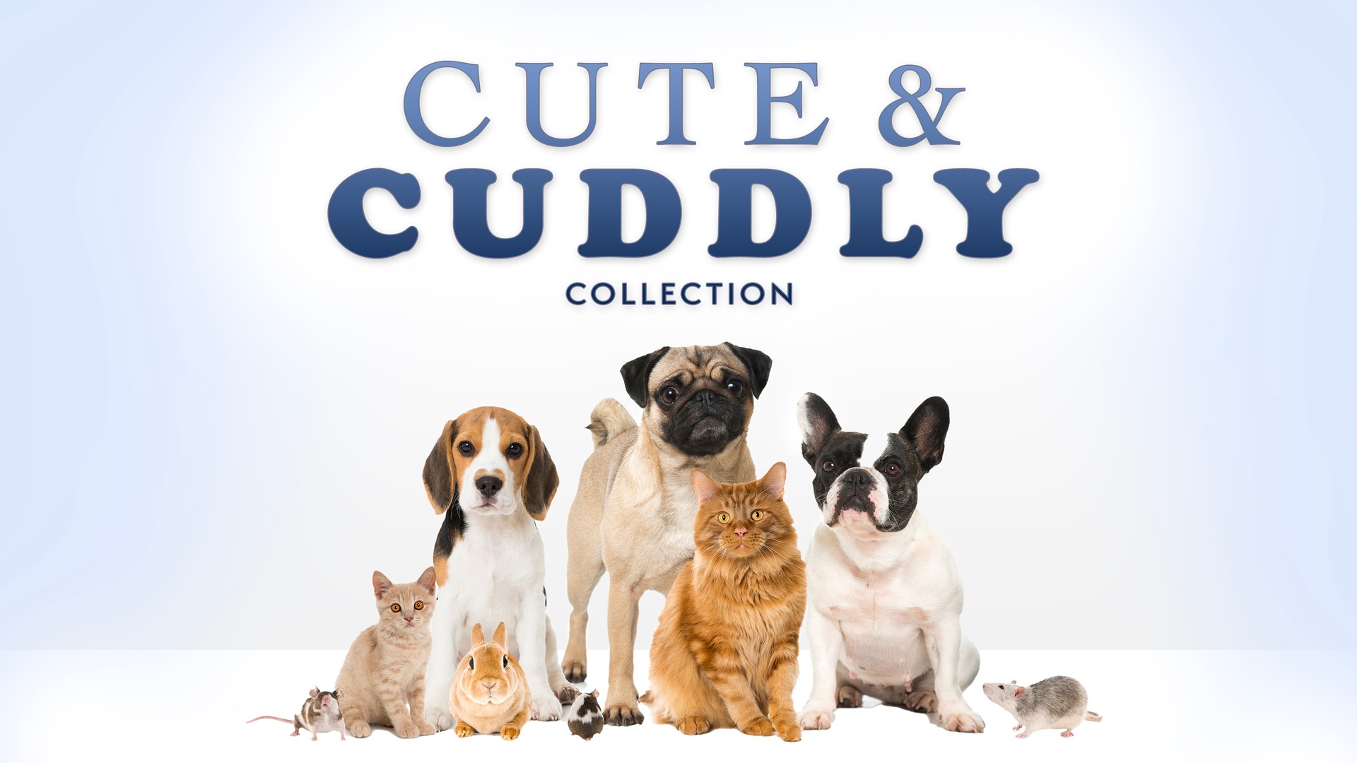 The Cute and Cuddly Collection
