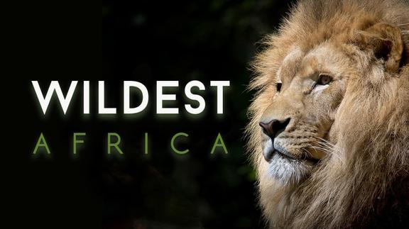 Wildest Africa 4K