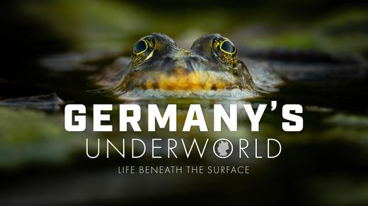 Germany's Underworld