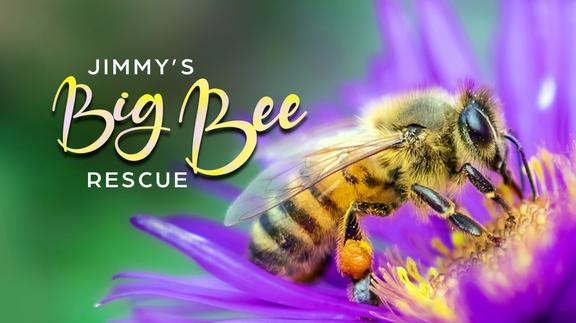 Jimmy's Big Bee Rescue