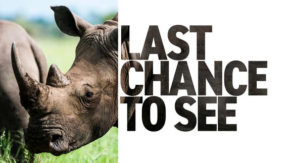 Last Chance to See