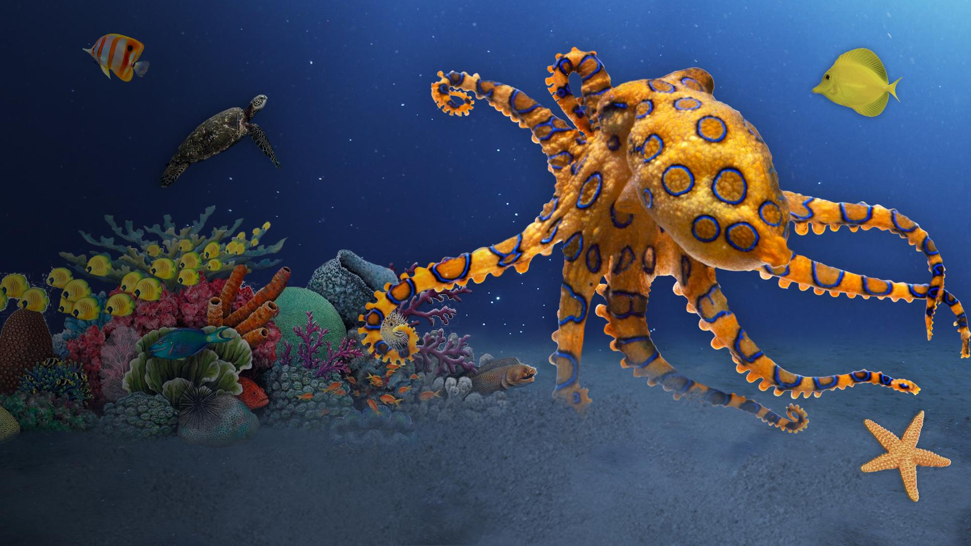 Sea Stories 4k