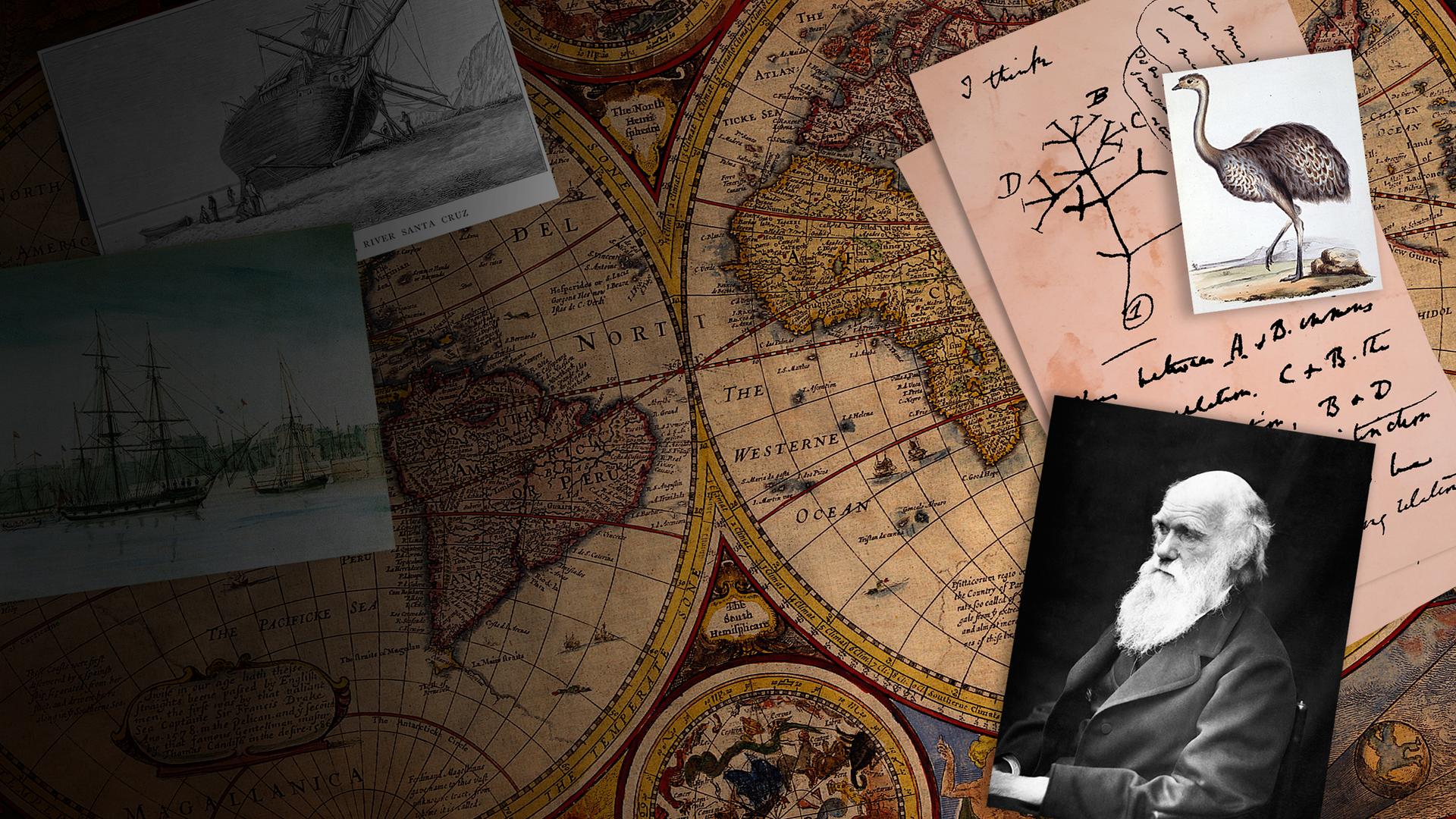 The Voyage of Darwin's Beagle: On the Future of Species