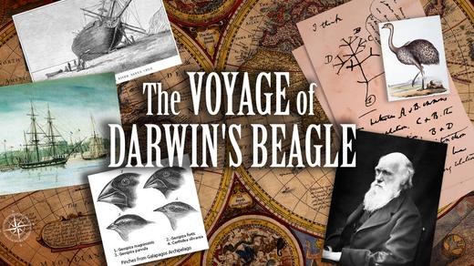 The Voyage of Darwin's Beagle: On the Future of Species