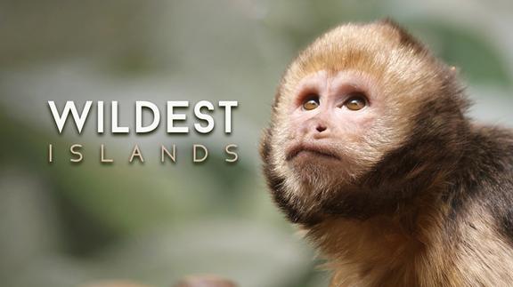 Wildest Islands