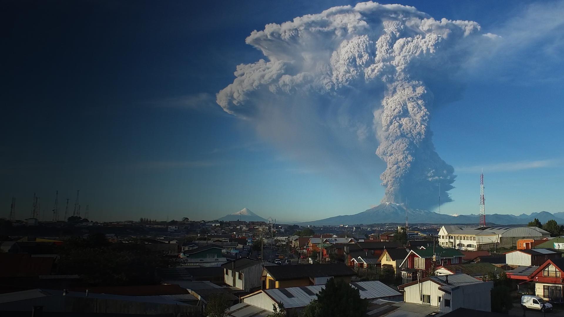 The Disaster Diaries 4K