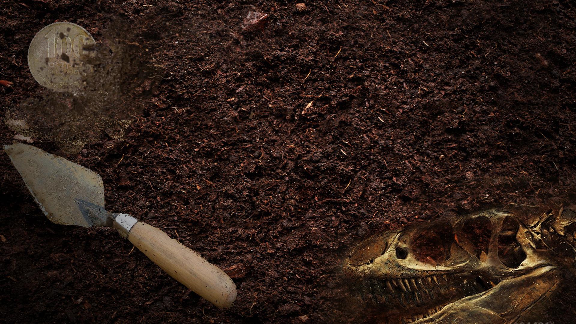 Digging The Past
