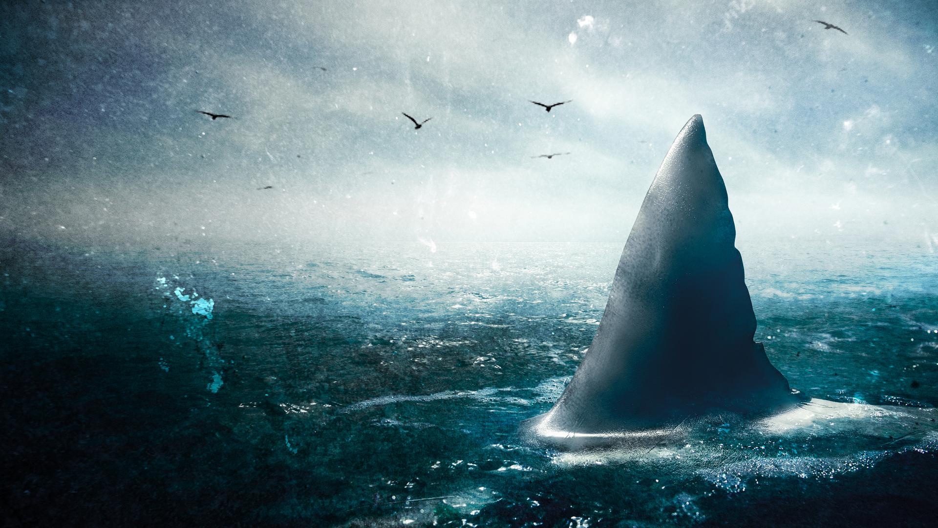 Rise of the Ocean Giants