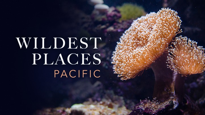 Wildest Places - Pacific