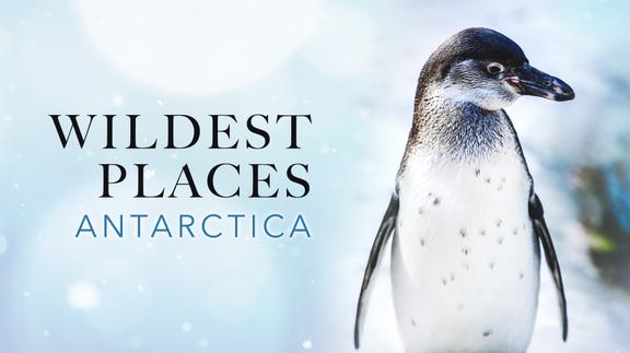 Wildest Places - Antarctic