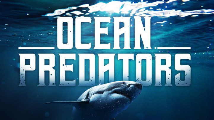 Ocean Predators 4K