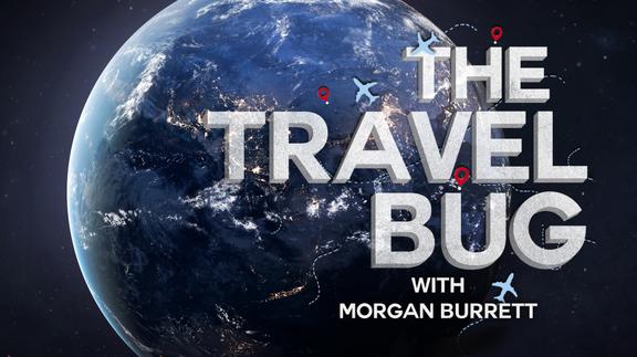 The Travel Bug with Morgan Burrett