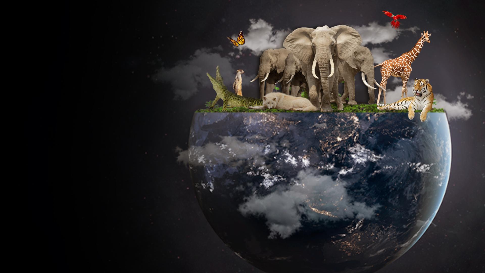 Planet E: Fixing Earth from your Backyard