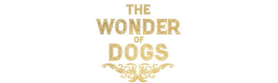 The Wonder of Dogs 4K