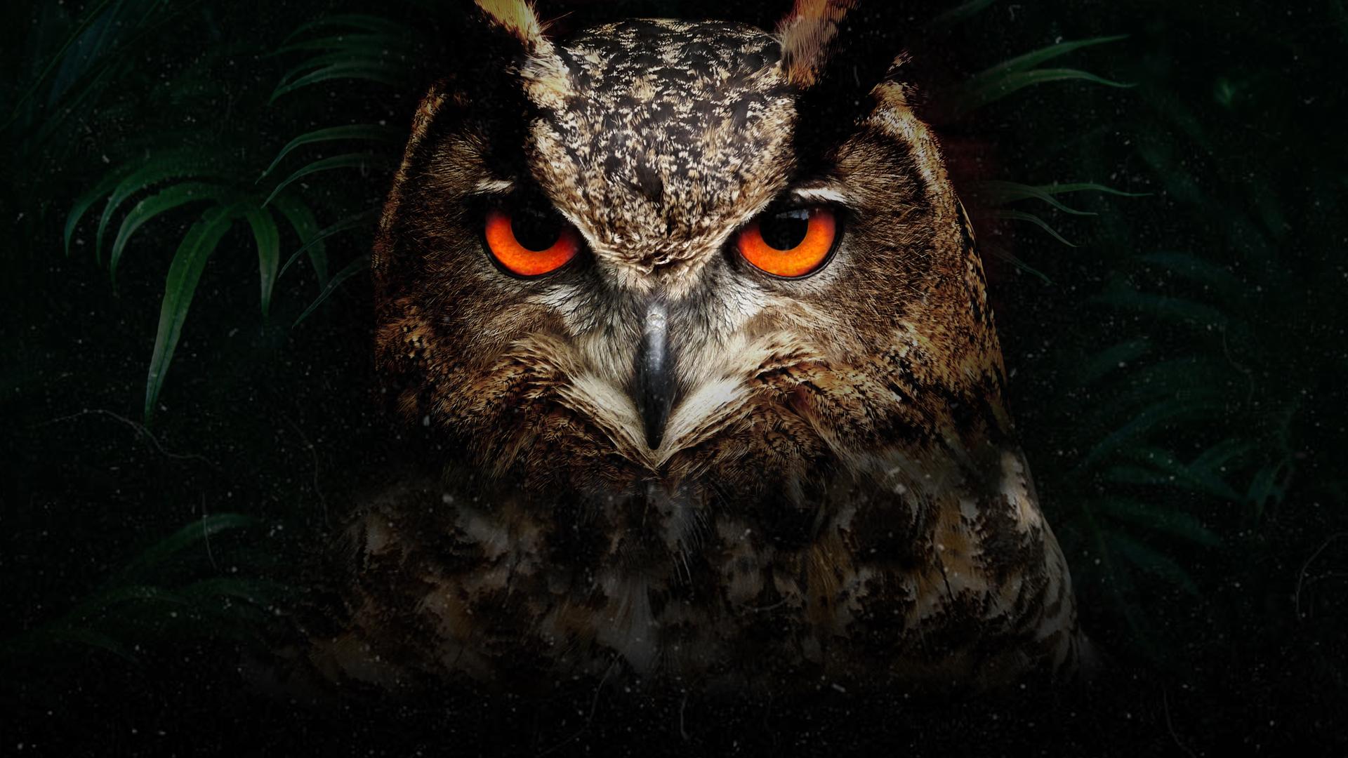 Super Senses: Wild Feats of Evolution