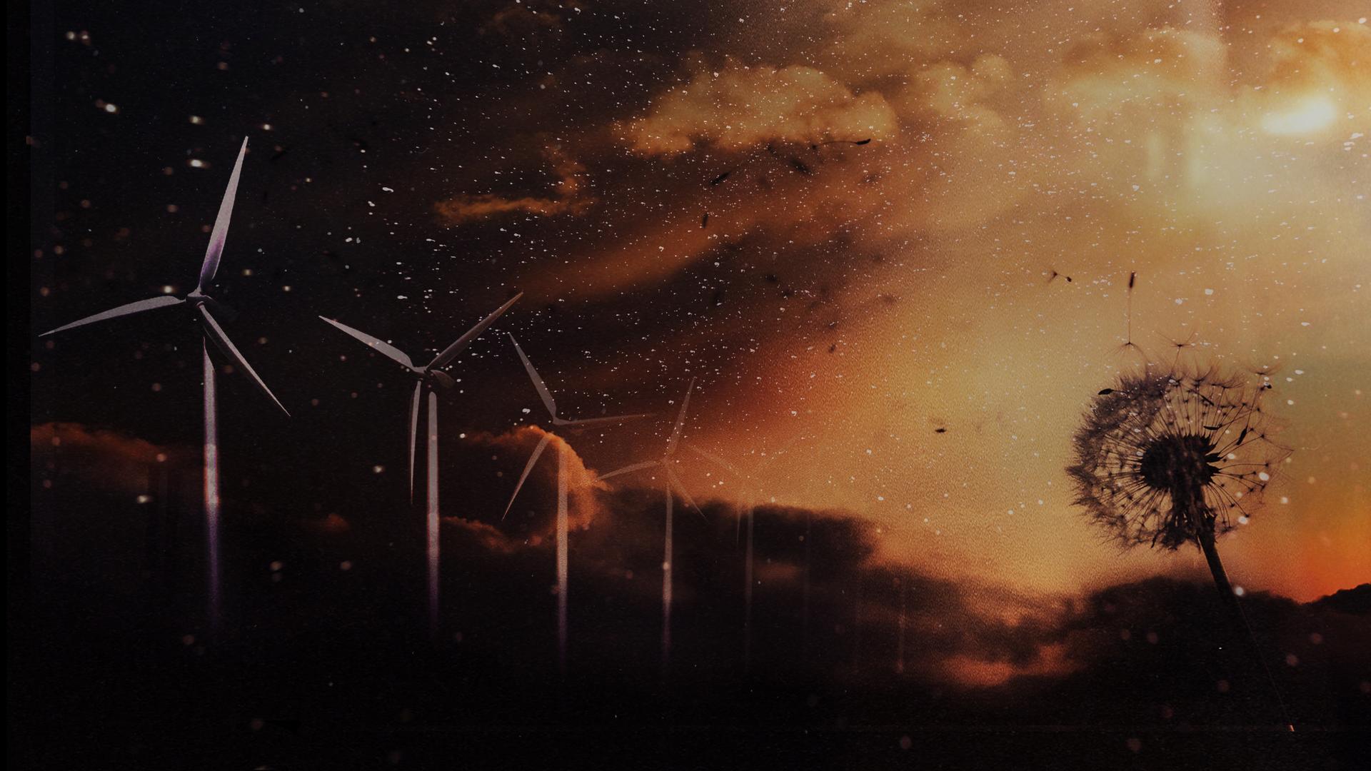 Taming Wind