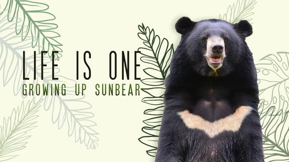 Life is One: Growing Up Sun Bear