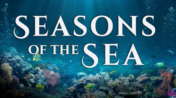 Seasons of the Sea