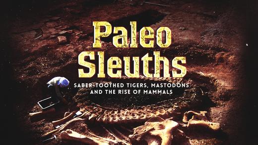 Paleo Sleuths