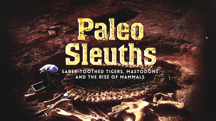 Paleo Sleuths