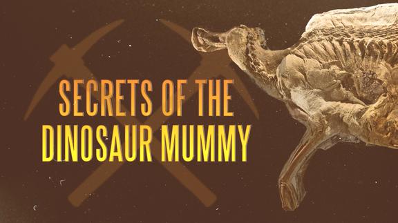 Secrets of the Dinosaur Mummy
