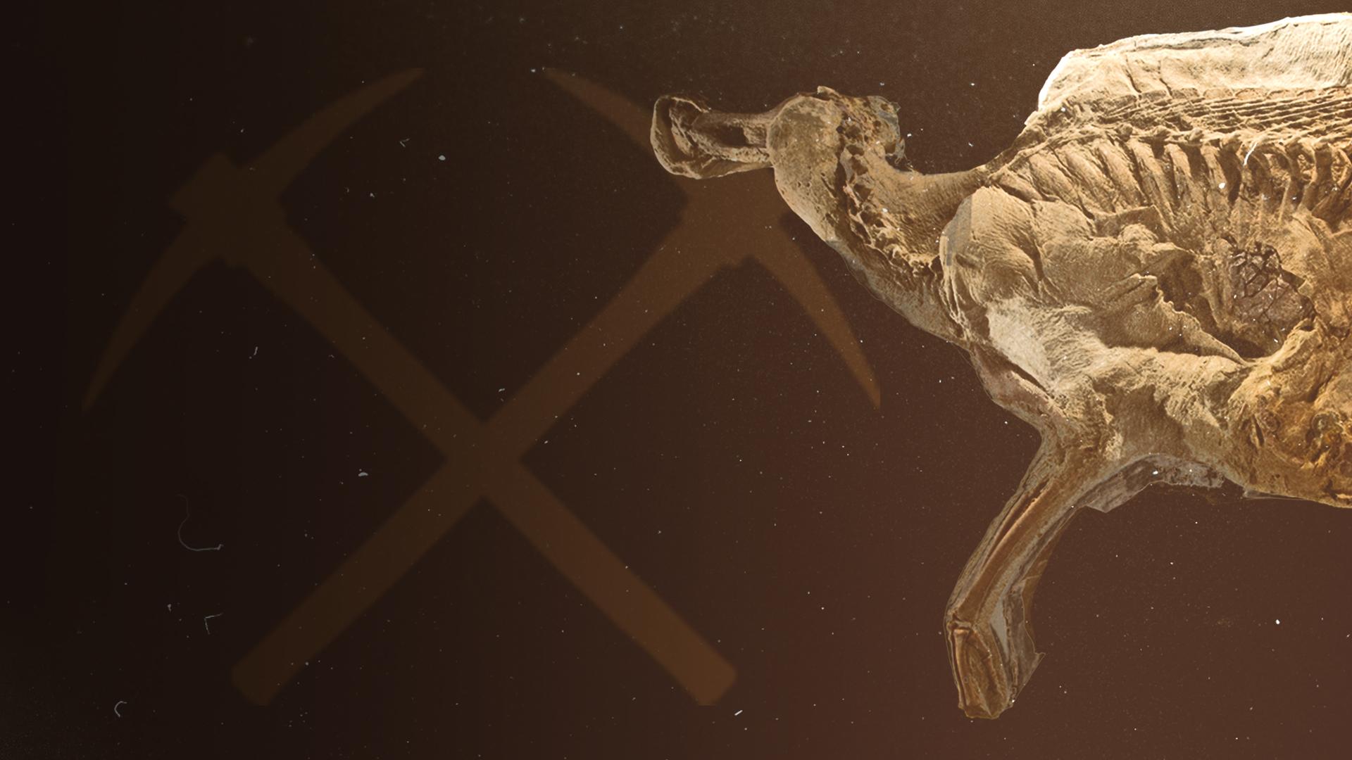 Secrets of the Dinosaur Mummy